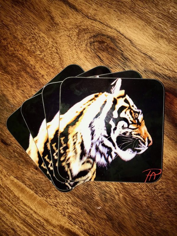 Tiger Profile Coaster (set of 4) - artwork by Pauline Alldis - Image 2