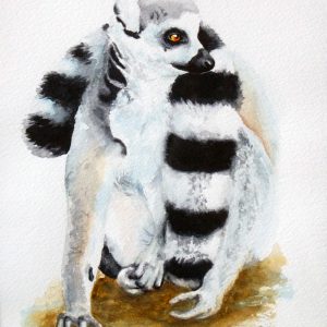 Lemur