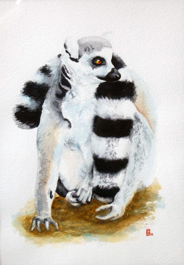 Lemur