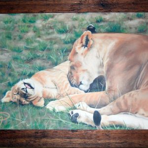 lioness and cub canvas print
