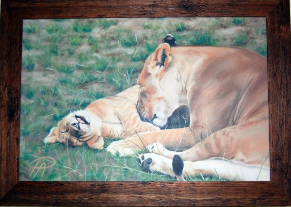 lioness and cub canvas print