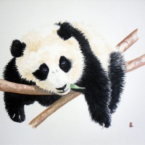 panda open edition print pauline alldis