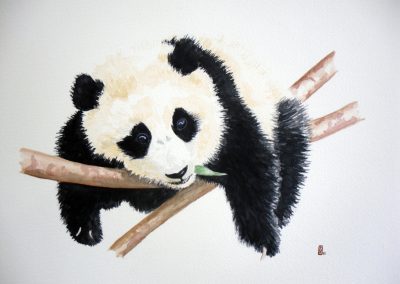 panda open edition print pauline alldis