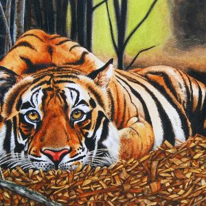 open edition print relaxing tiger pauline alldis