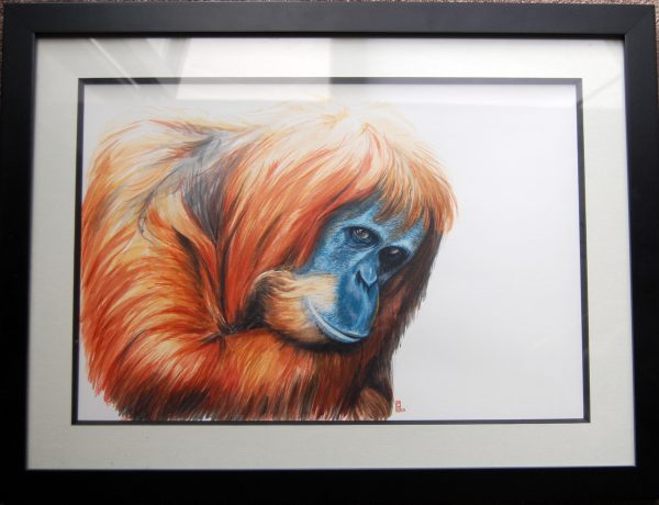 pauline alldis watercolour
