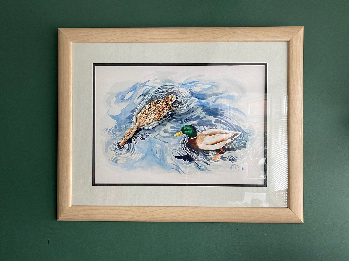 Mallards Framed